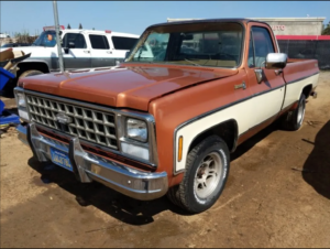 1980 CHEVROLET C10