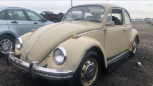 1969 VOLKSWAGEN BEETLE