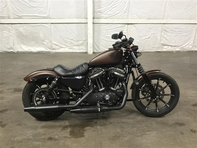 2019  Harley-Davidson Sportster Iron 883 (XL883N)