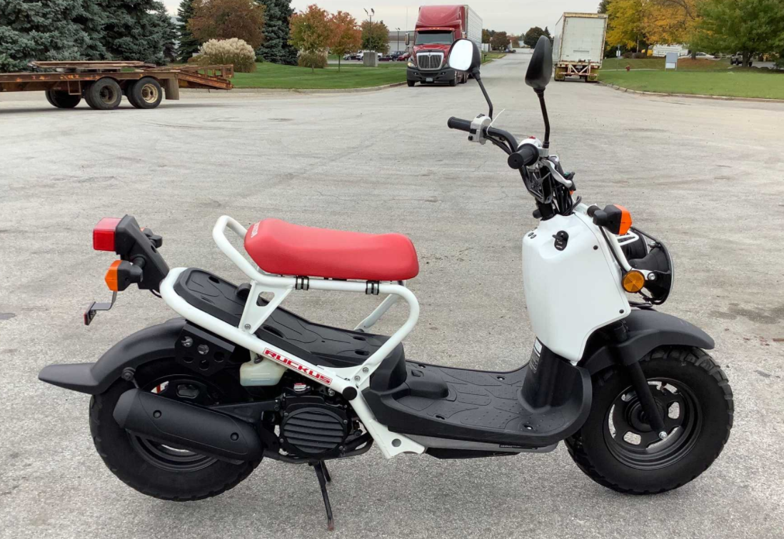 2013 Honda Ruckus