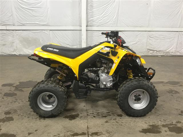 2019 Can-Am DS 250 2WD