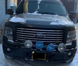 2010 Harley Davidson Ford F150
