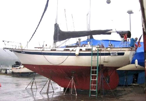 fraser 36 sailboat