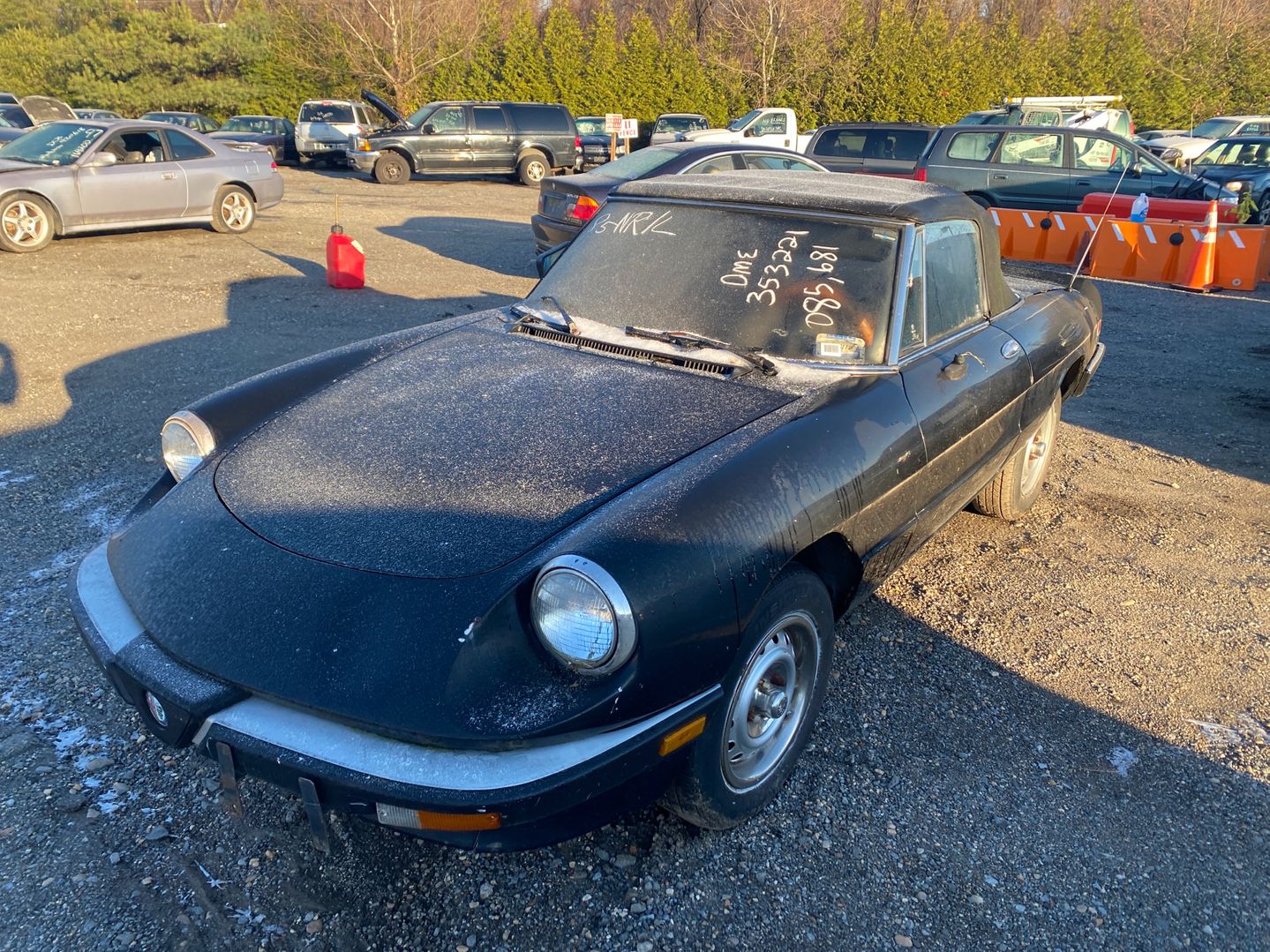 1985 ALFA ROMEO Spider