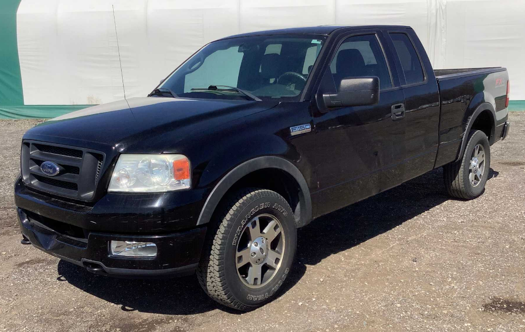 2004 FORD F-150 FX4