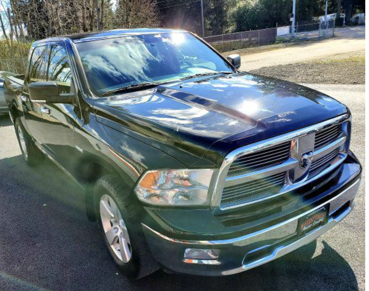 Dodge Ram 1500 Pickup 2010