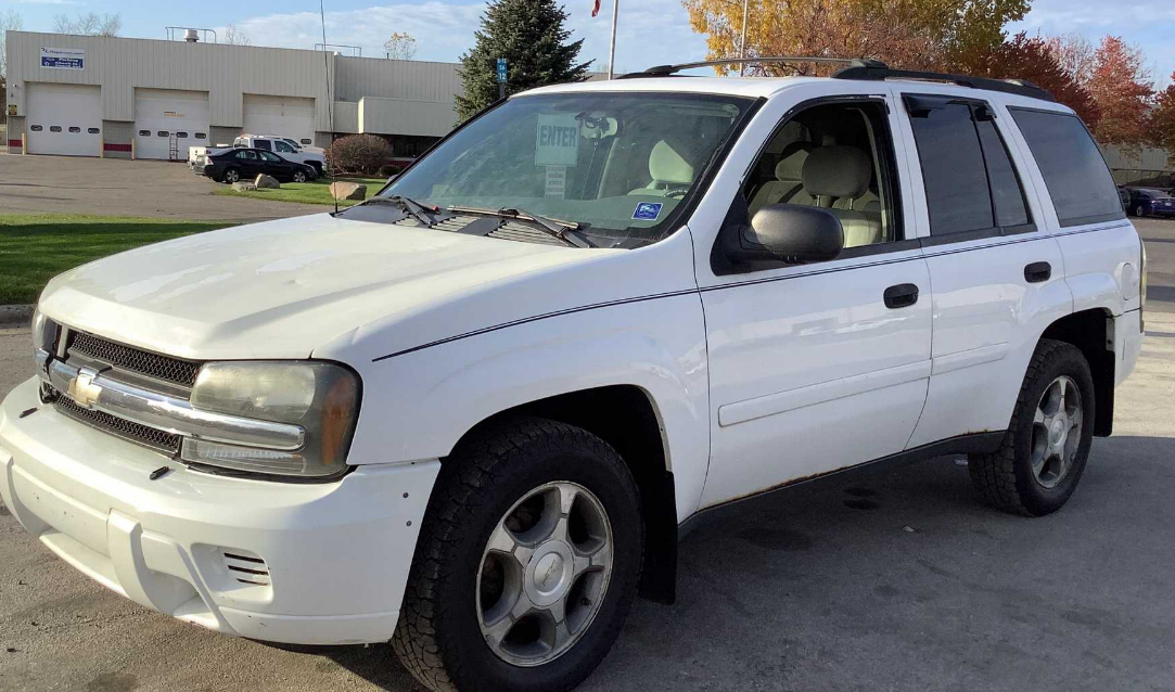 2008 Chevrolet Trailblazer