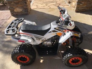 2021 Coleman AT125-EX 2WD