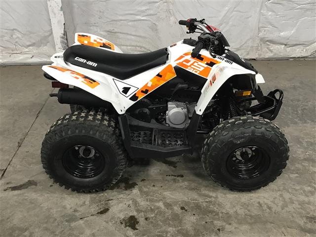 2019 Can-Am DS90