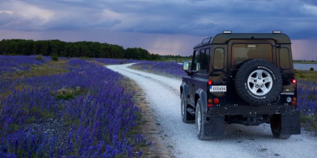 car driving through lavender fields
