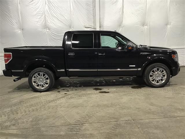 2014 Ford F-150 Platinum Super Crew 4WD