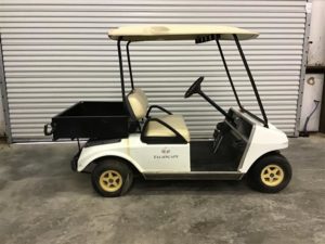2008 EZ-GO Golf Cart