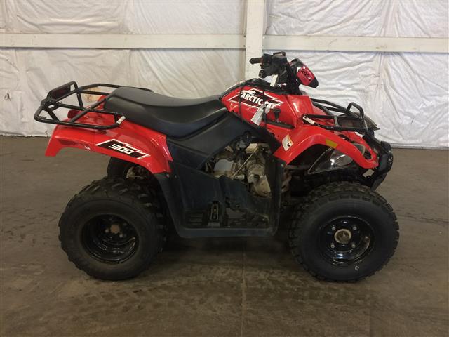 2015 Arctic Cat 300 2WD