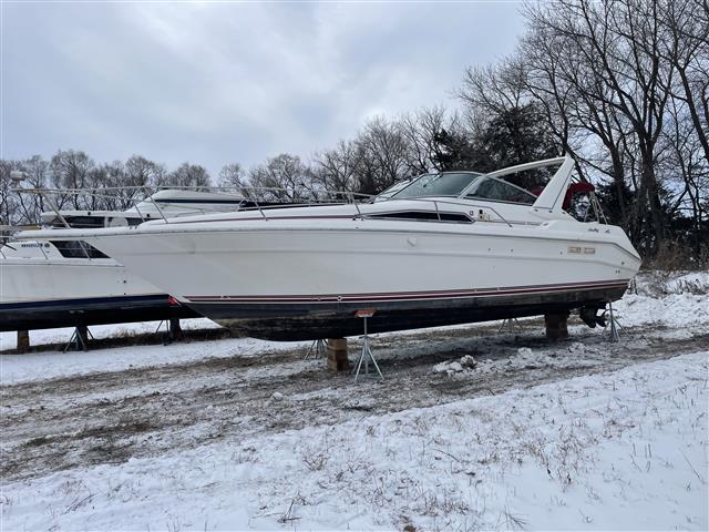1991 Sea Ray 310