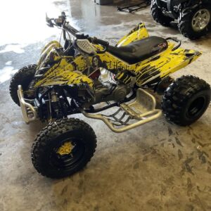 2013 Raptor 90