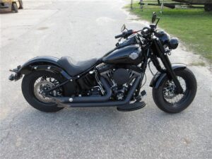 2016 Harley-Davidson Softail Slim S (FLSS)