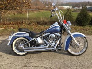 2015 Harley-Davidson Softail Deluxe (FLSTN103)