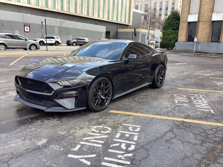 2019 Ford Mustang Coupe 2D GT Premium 5.0L V8