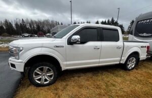 2019 Ford F-150 Crew Cab Platinum 4WD