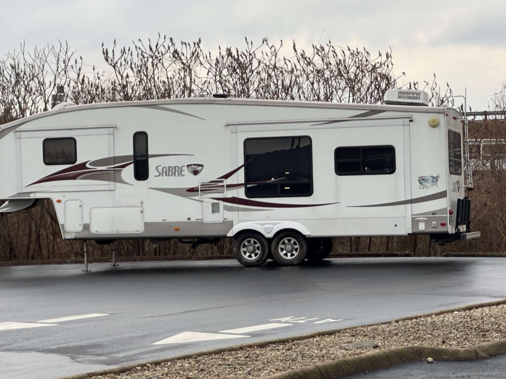 2010 Palmino Sabre M