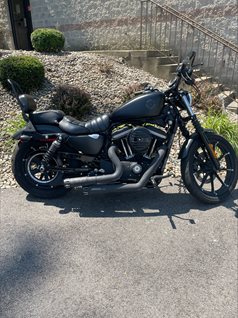 2019 Harley Davidson XL883N IR