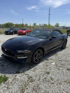 2019 Ford Mustang Convertible repo for sale