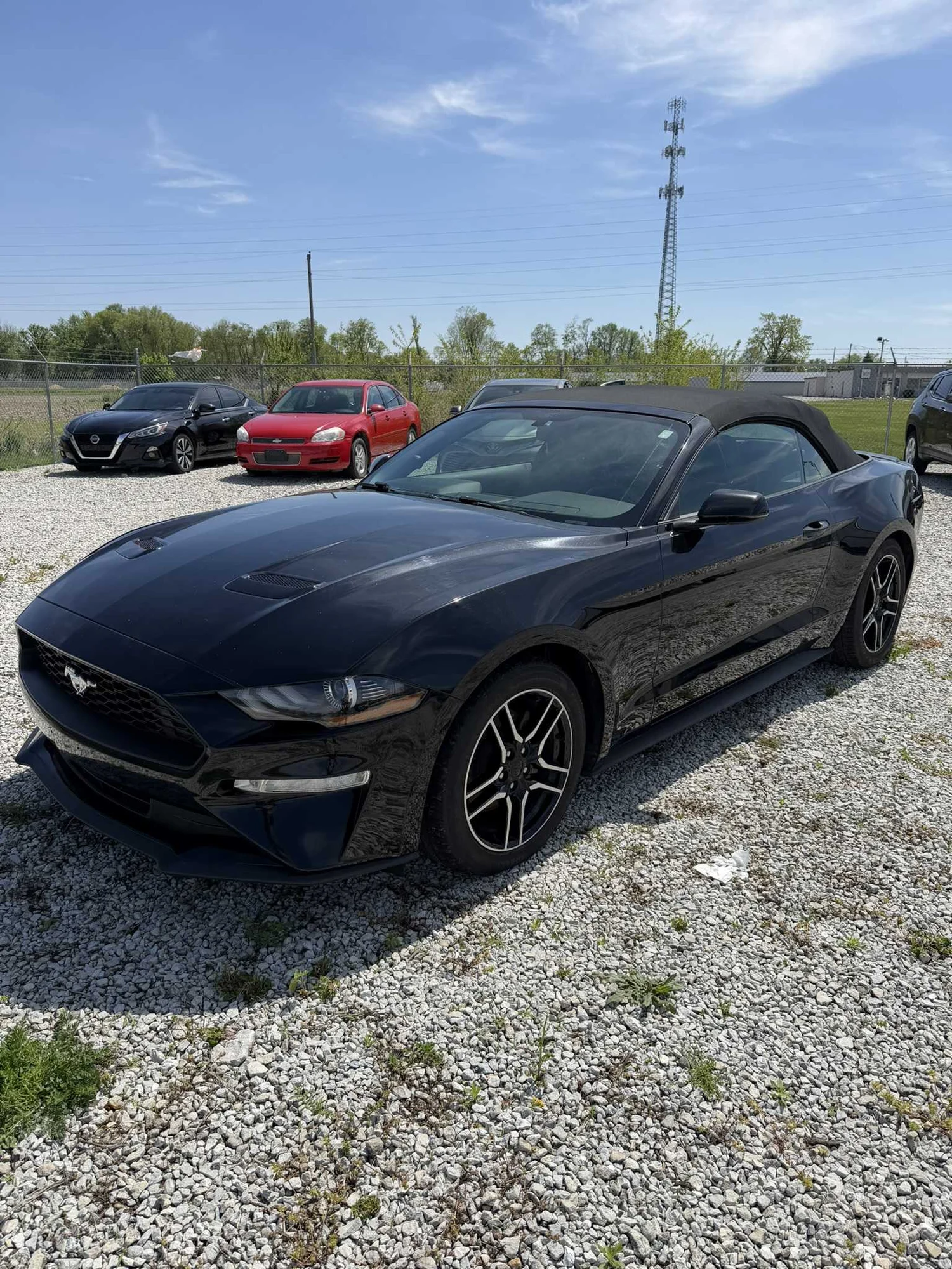 2019 Ford Mustang Convertible