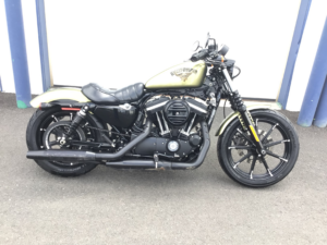 2017 Harley-Davidson XL883N